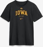 Nike Men's Nike Black Iowa Hawkeyes Academic Arch T-Shirt