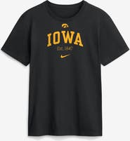 Nike Men's Nike Black Iowa Hawkeyes Academic Arch T-Shirt