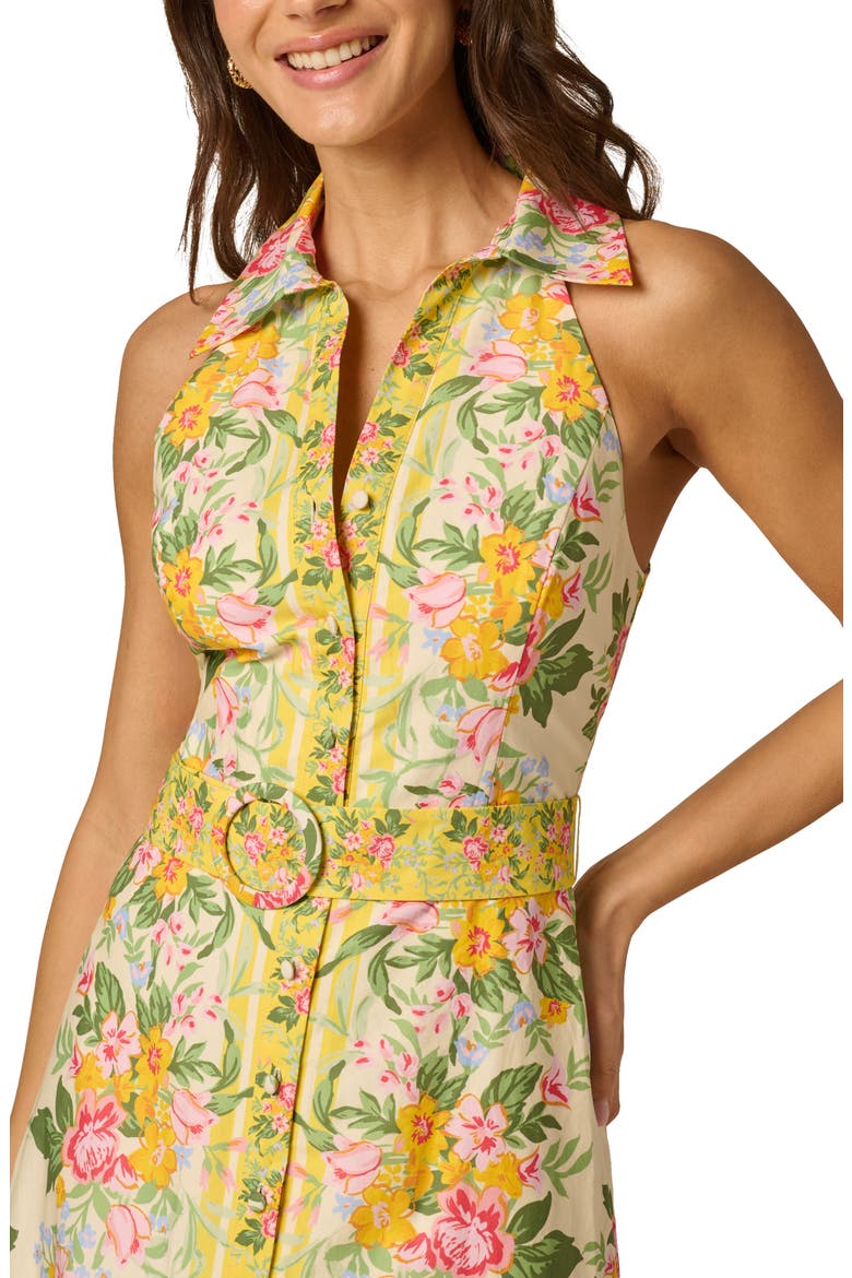 Floral Belted Cotton Maxi Shirtdress, Alternate, color, PALE YELLOW