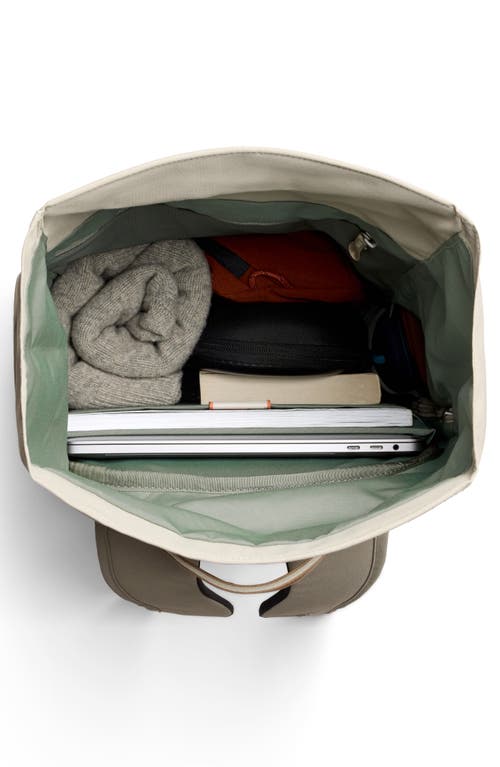 Bellroy Classic Roll Top Water Resistant 16l Backpack In Brown