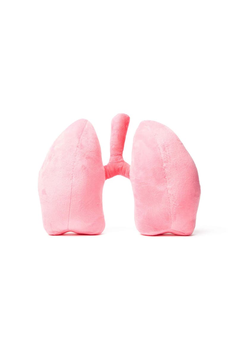 Lung Plushie Organ, Alternate, color, Light/Pastel Pink
