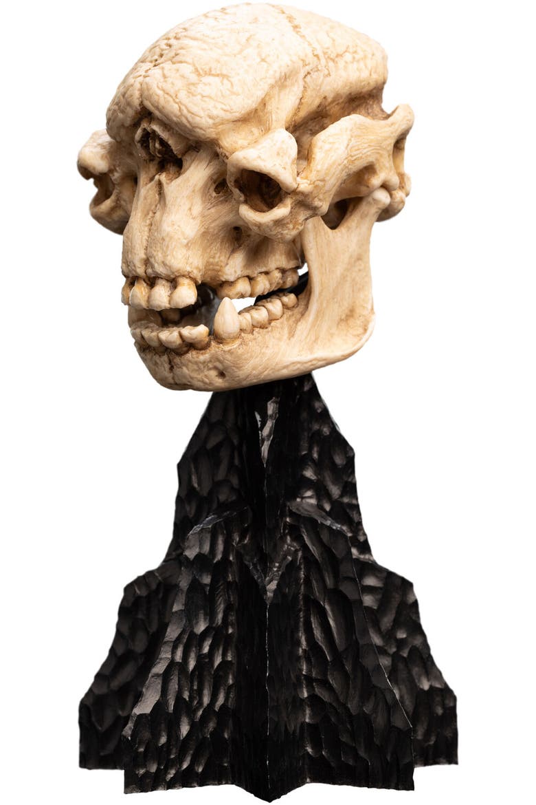 Lotr - Skull Of A Cave Troll Polystone Statue, Alternate, color, Multicolor