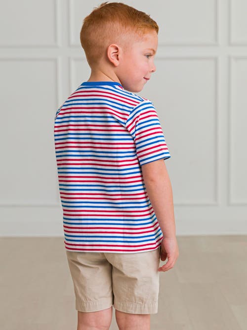 Rufflebutts Boys Short Sleeve Knit Henley In Multi