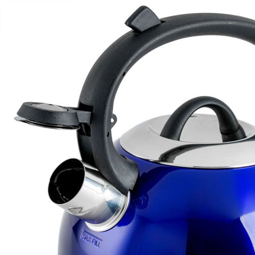Mr Coffee Mr. Coffee Flintshire 1.75 Quart Whistling Stovetop Tea Kettle In Blue