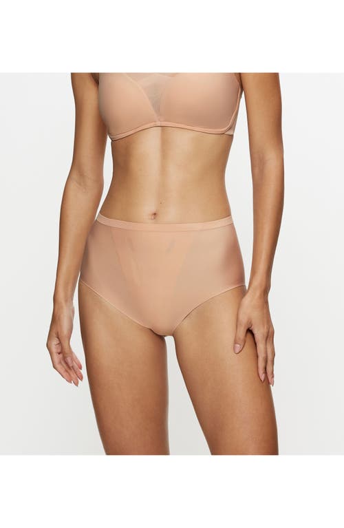 Triumph Shape Smart Shaping Panties In Neutral