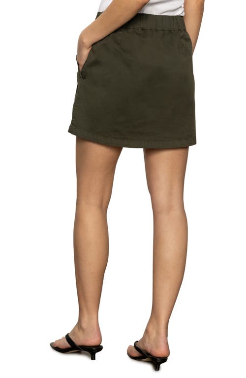 Shop Sanctuary Falls High-low Miniskirt