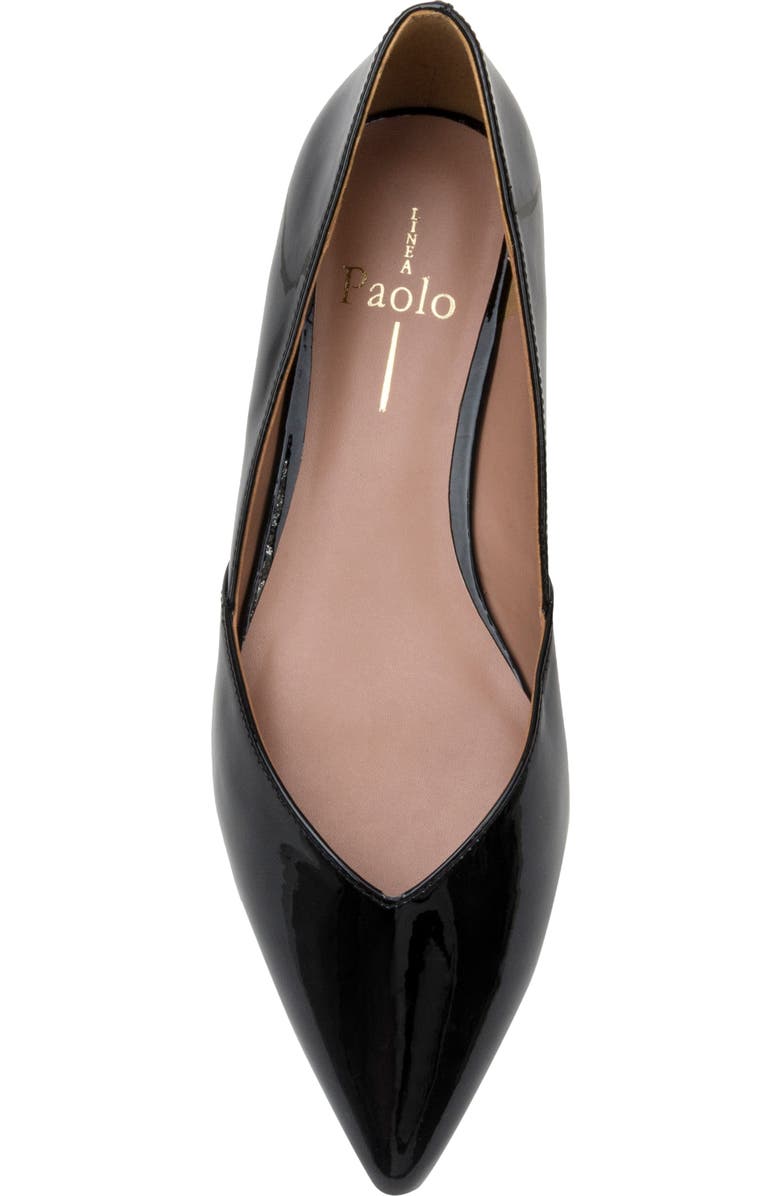 Linea Paolo Nasya Pointed Toe Flat, Alternate, color, Black