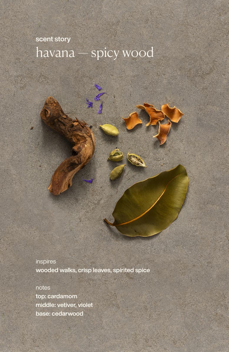 evolvetogether Nutrient-Rich Body Cleanser, Alternate, color, Havana