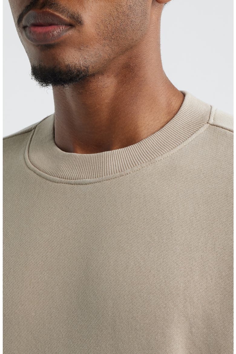 Crewneck Sweatshirt, Alternate, color, TAN
