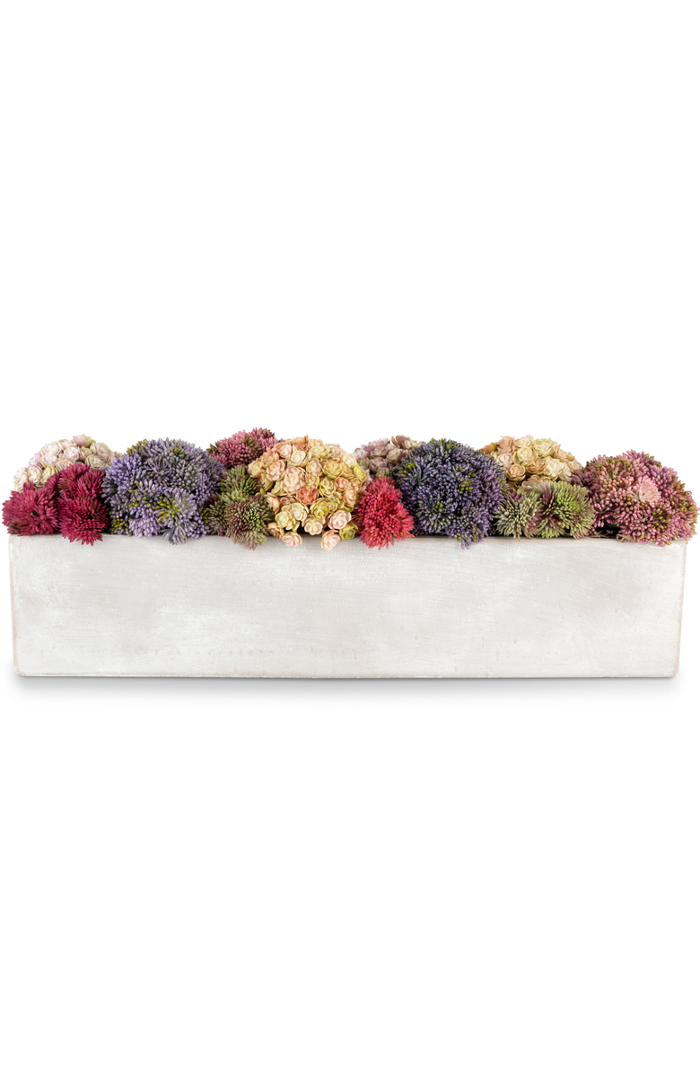 CocoBella Arden Oblong Sedum Arrangement, Main, color, 