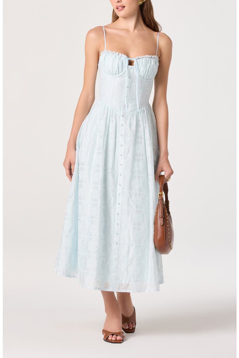 Aubrey Embroidered Sleeveless Maxi Dress, Main, color, POWDER BLUE