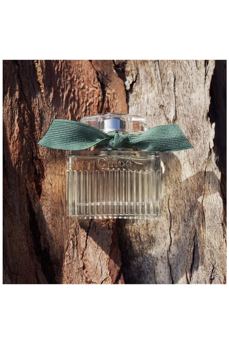 Rose Naturelle Intense Eau de Parfum, Alternate, color, REGULAR