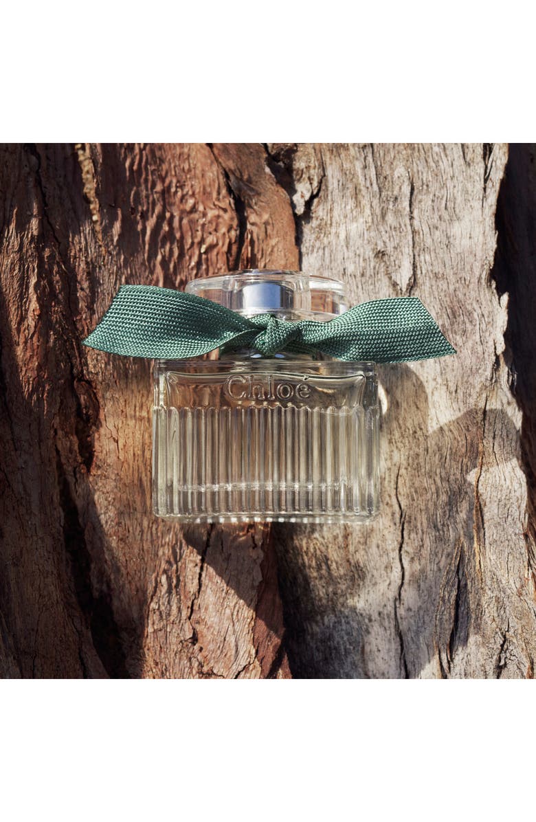 Chloé Rose Naturelle Intense Eau de Parfum, Alternate, color, Regular