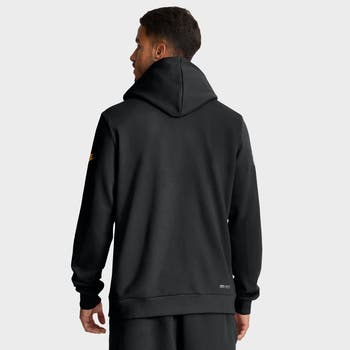 Nike Men's Nike Black Pittsburgh Steelers Sideline Standard Issue