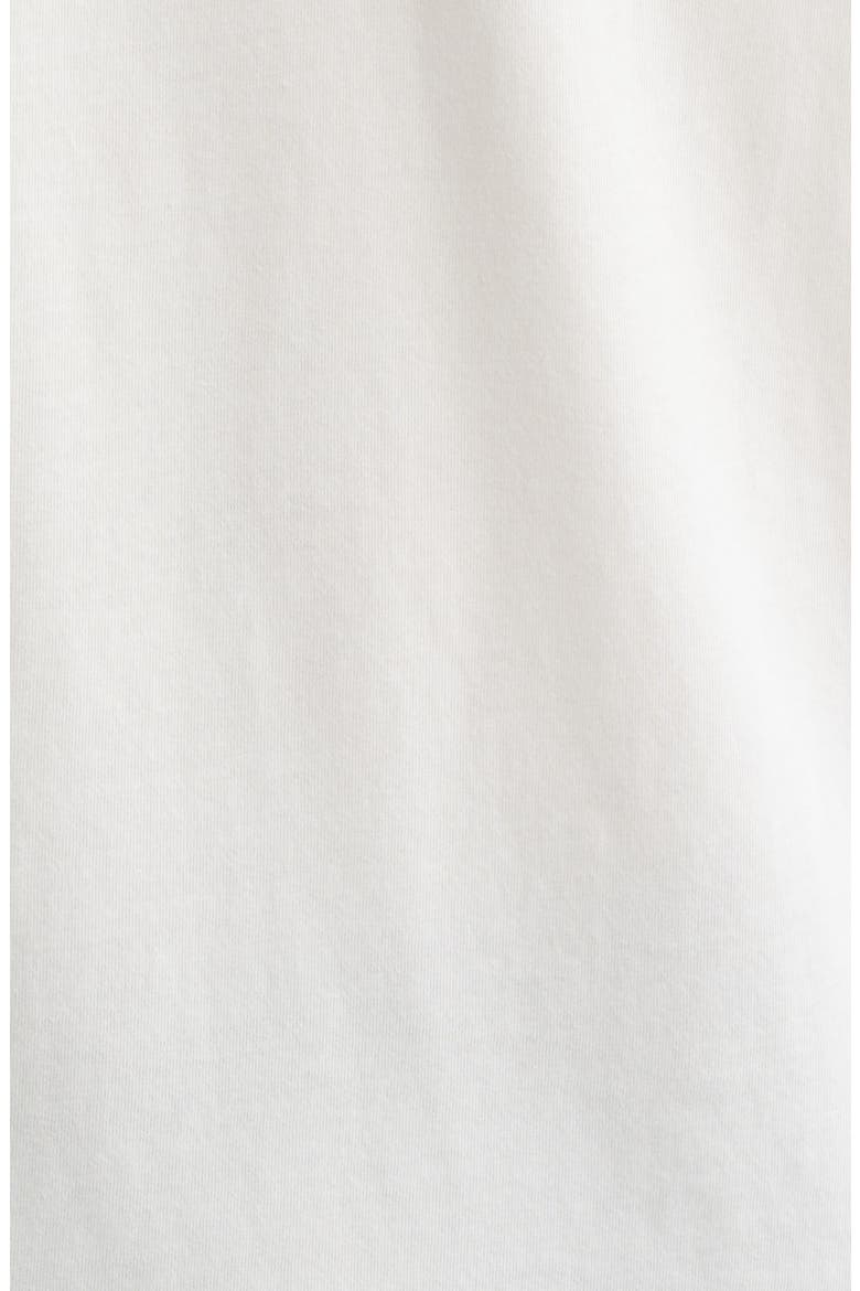Matisse Desto Cotton Graphic T-Shirt, Alternate, color, FLORIDA BONE