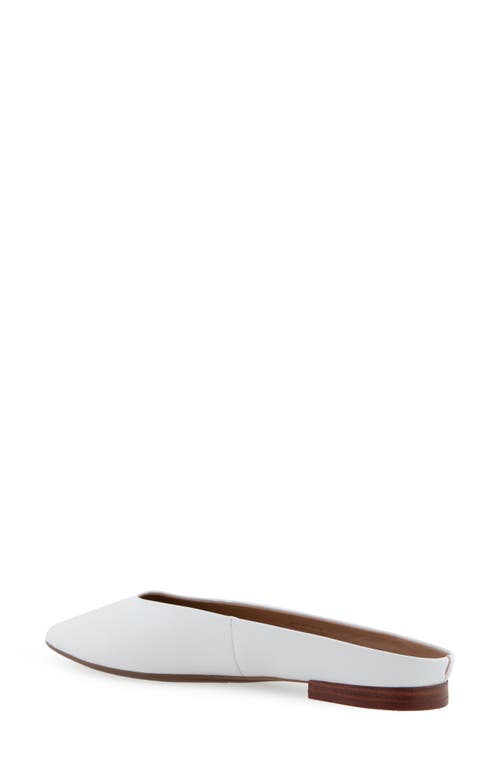 AEROSOLES AEROSOLES AMARA MULE