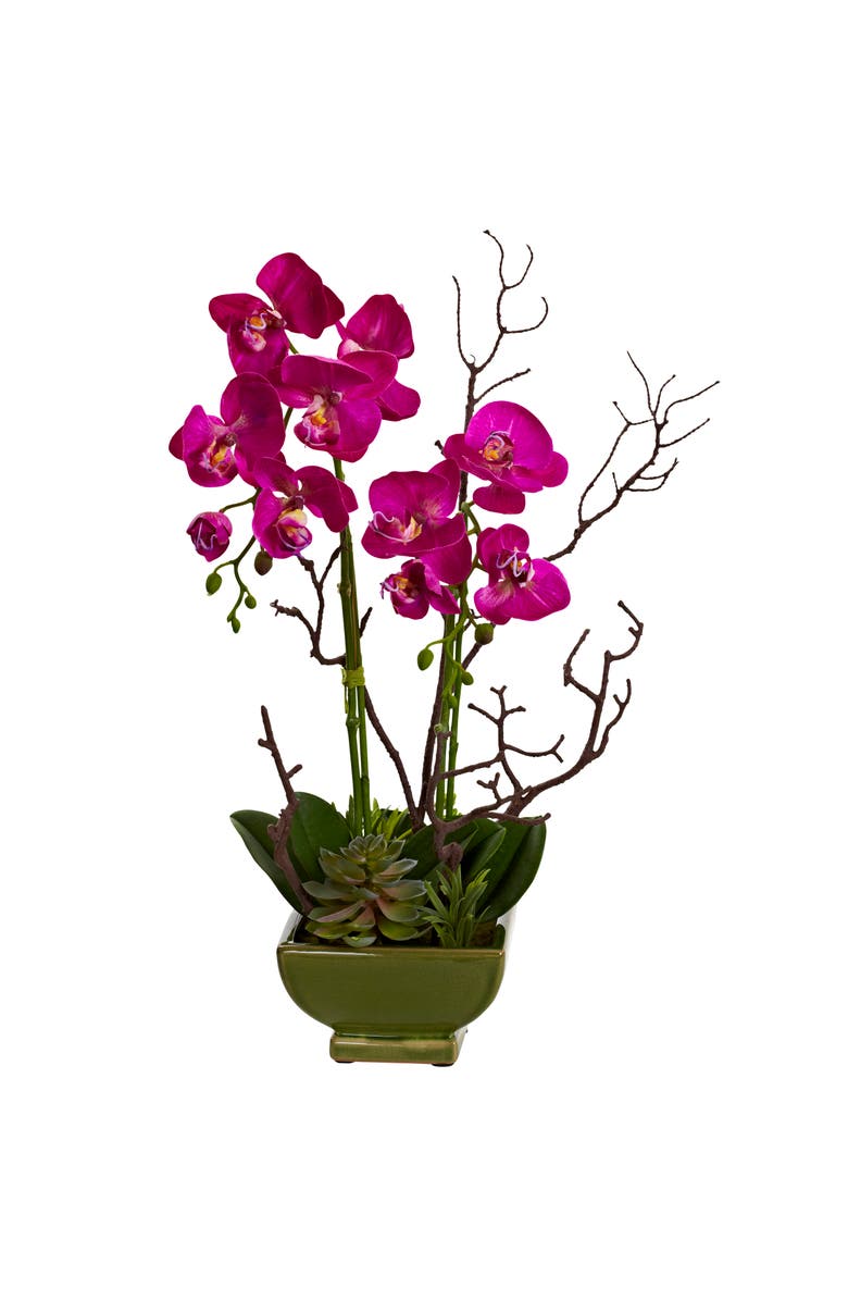 NEARLY NATURAL Orchid & Succulent Floral Arrangement, Main, color, Dark Pink/Green
