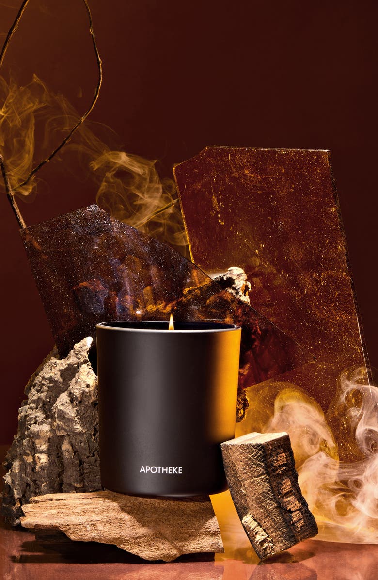 APOTHEKE Kindling Classic Scented Candle, Alternate, color, 