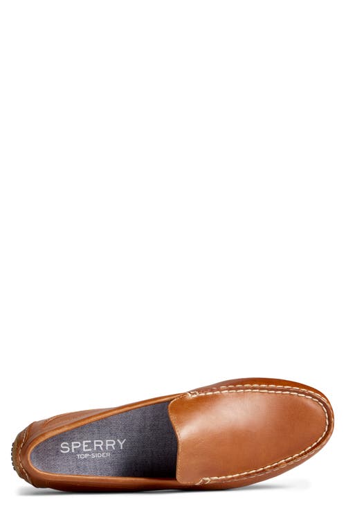 Sperry Top-sider® Sperry Davenport Venetian Diver Loafer In Tan