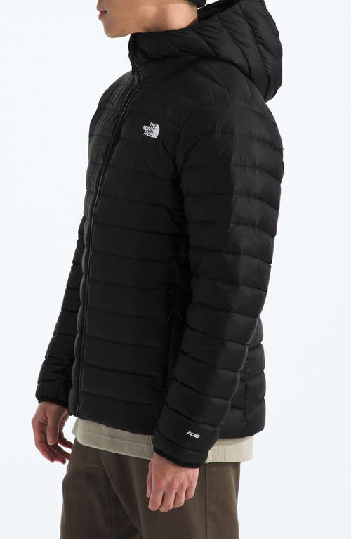The North Face Classic 700 Fill Power Down Hooded Jacket In Animal Print