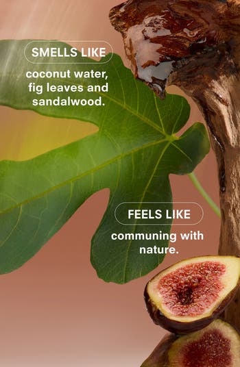 Woodphoria Fine Fragrance
