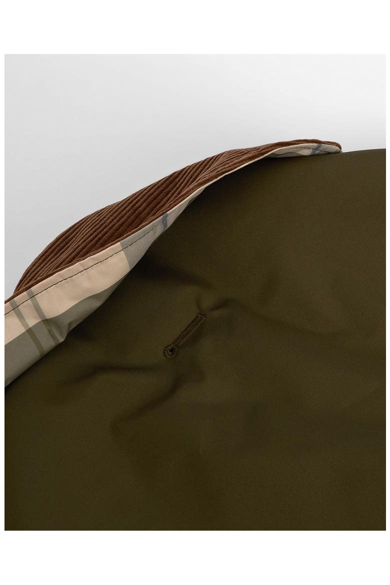 Monmouth Waterproof Dog Coat, Alternate, color, OLIVE