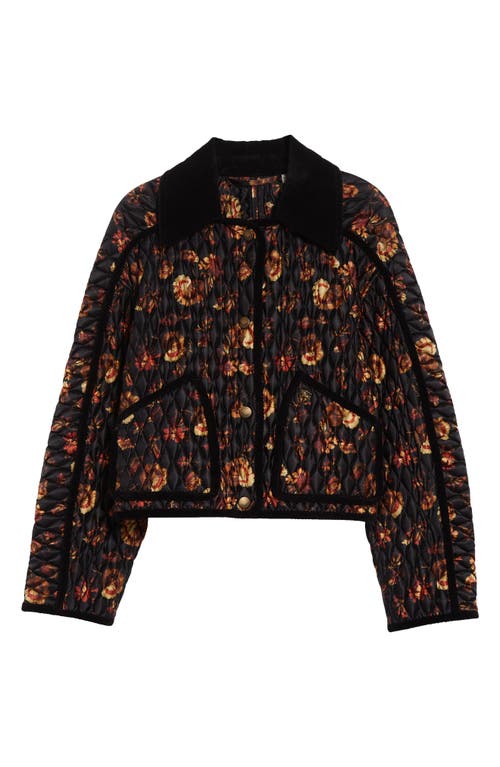 Burberry Floral Quilted Nylon Jacket With Corduroy Collar In Black