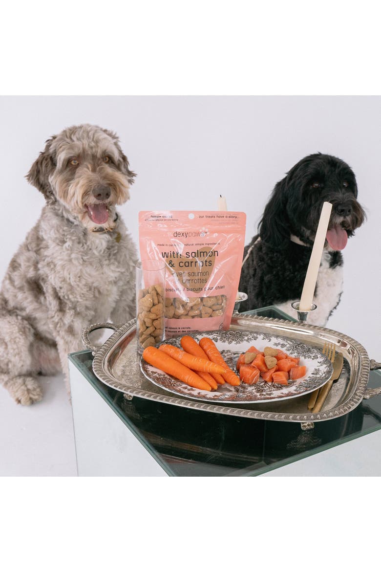 Salmon & Carrot Dog Biscuits 12oz All Natural Pet Treats, Alternate, color, Brown