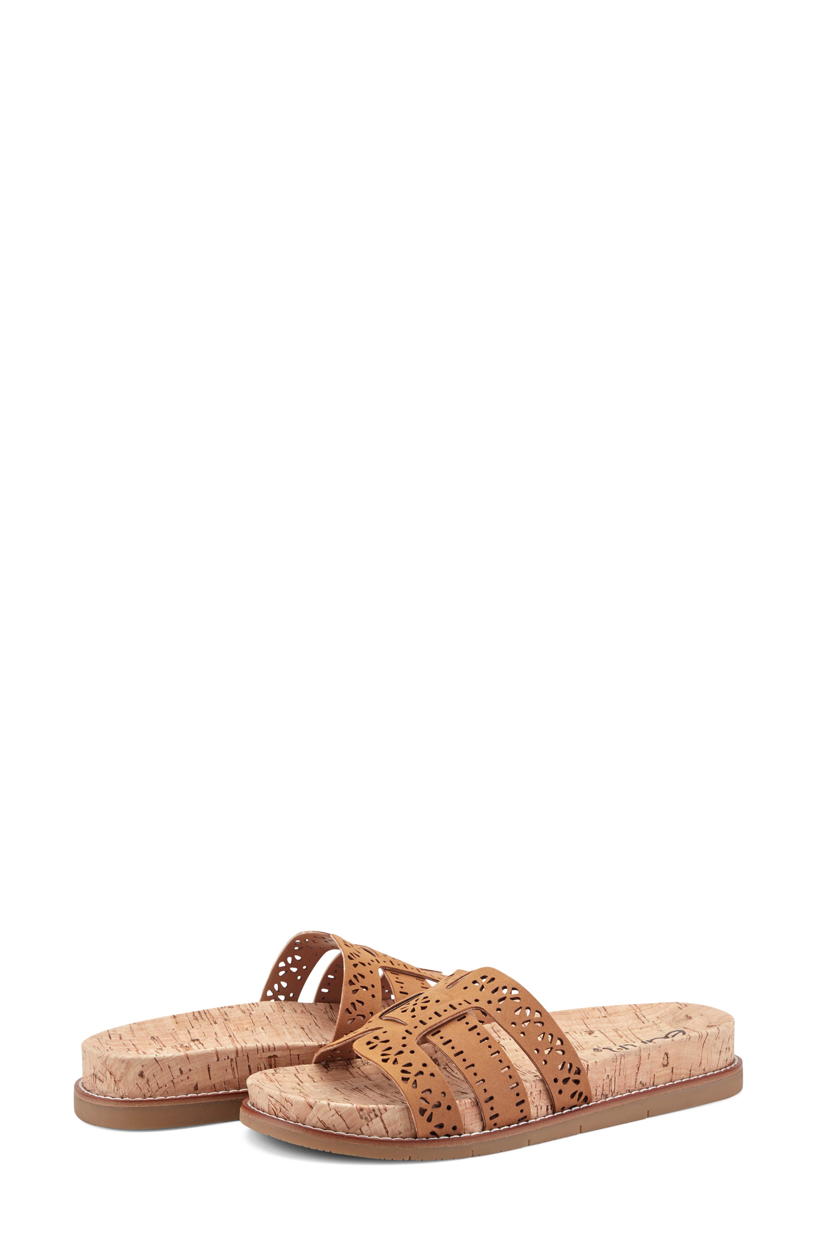 Earth<sup>®</sup> Fairren Slide Sandal, Alternate, color, 