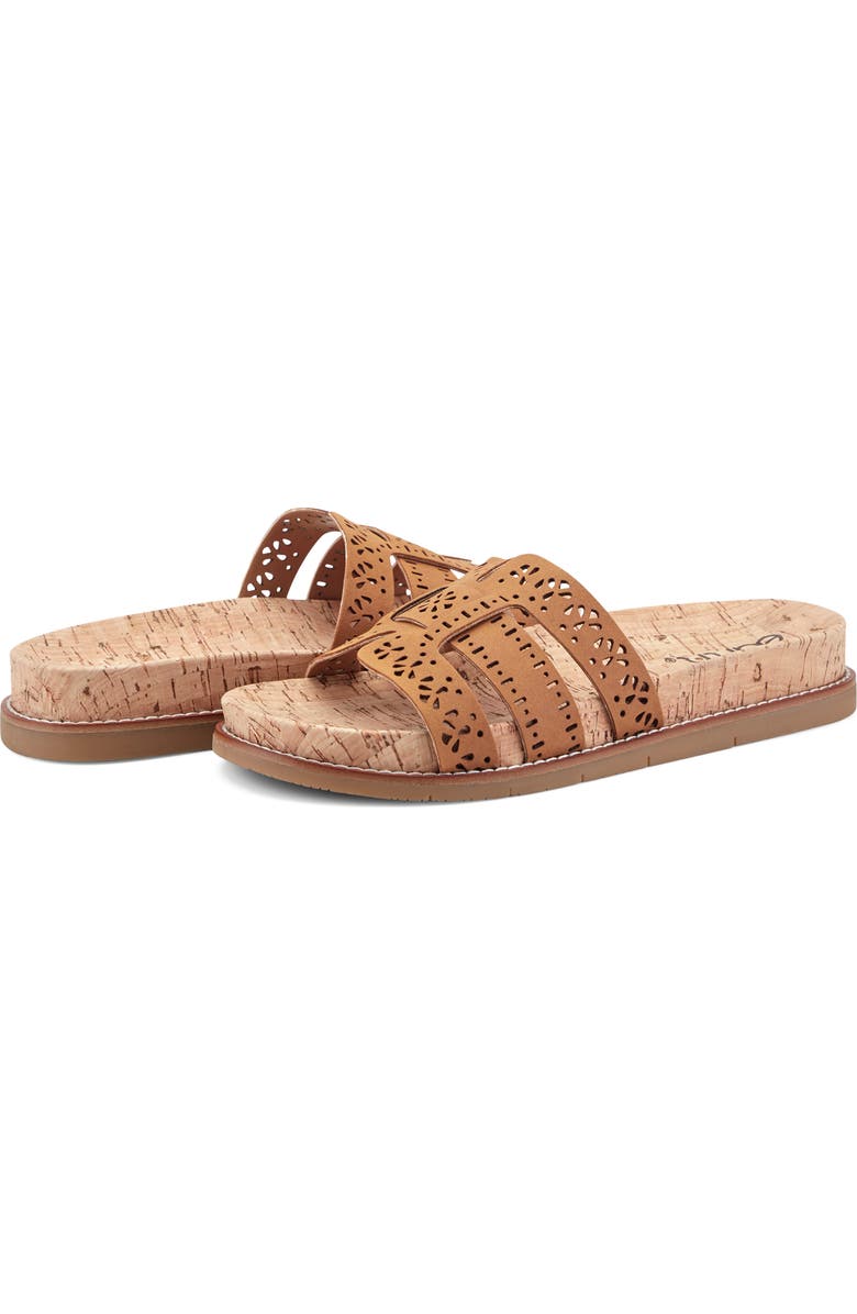 Earth<sup>®</sup> Fairren Slide Sandal, Alternate, color,
