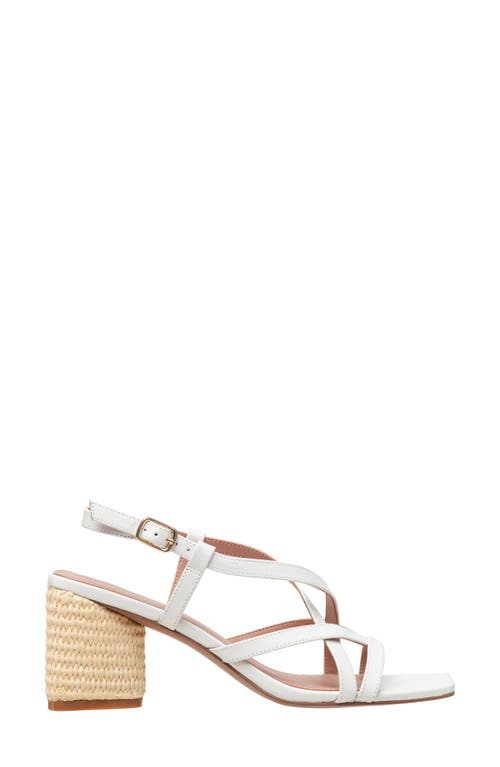 LINEA PAOLO LINEA PAOLO HAZEL SLINGBACK SANDAL 