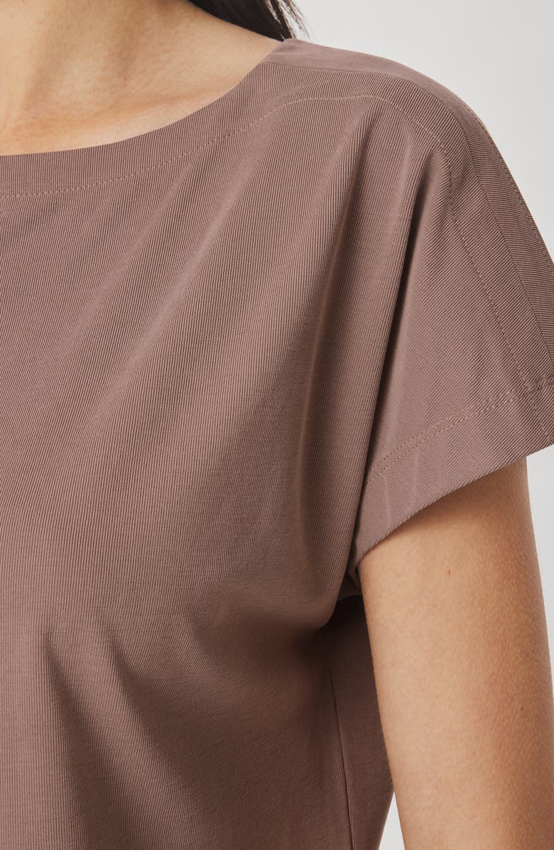Splendid Sasha Sandwash T-Shirt, Alternate, color, Wicker Beige