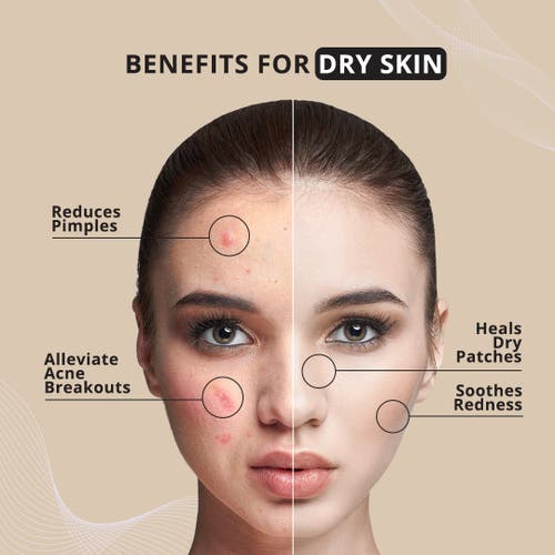 7e Wellness Myolift Renu Conductive Gel With Bio-active Complex