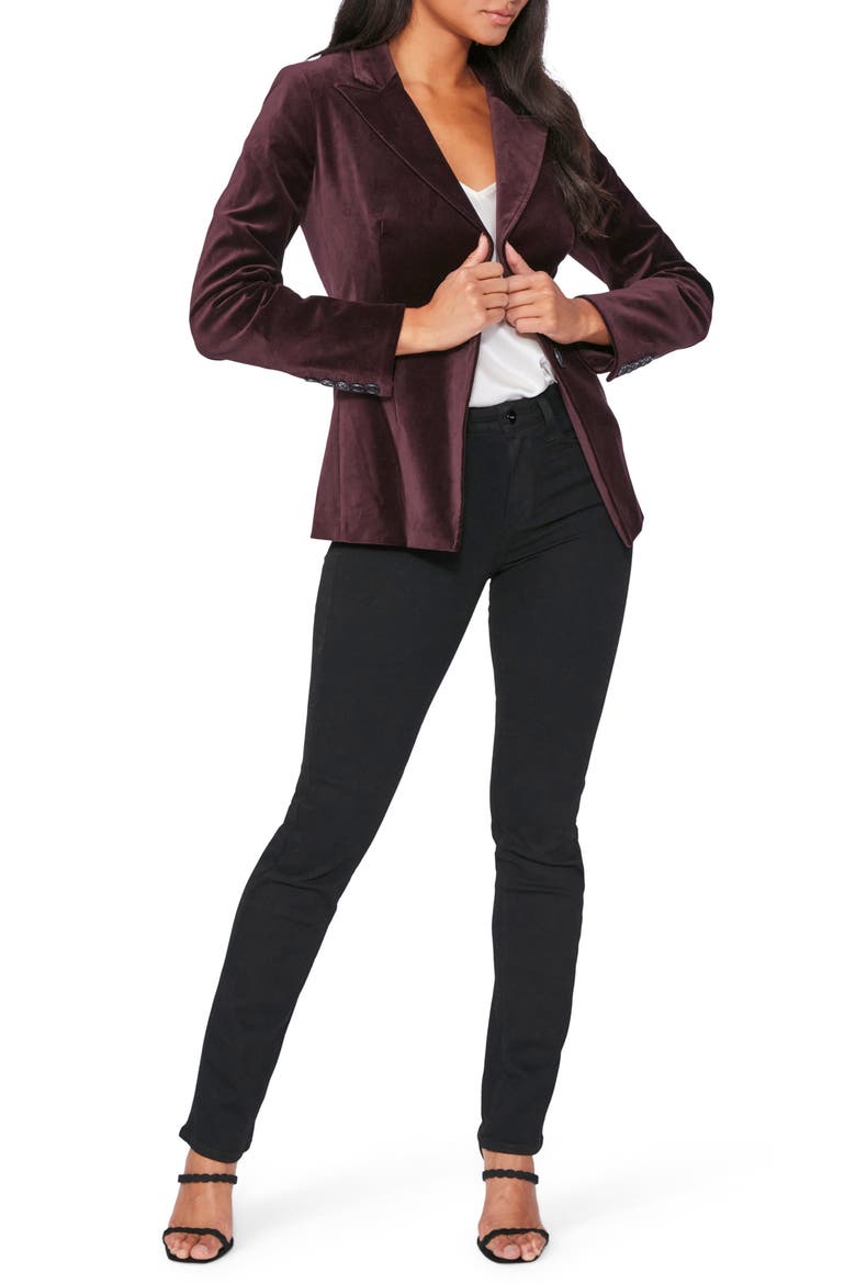 Chelsee Velvet Blazer, Alternate, color, BLACK CHERRY