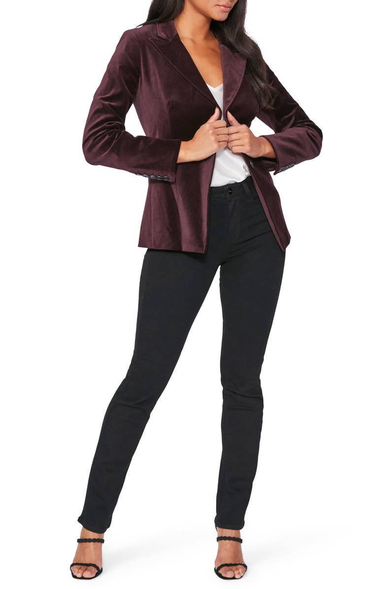 PAIGE Chelsee Velvet Blazer, Alternate, color,
