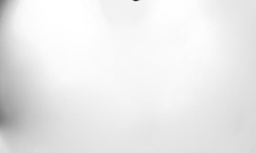 Jacquemus The Salon Circle Stud Earrings In Silver 980