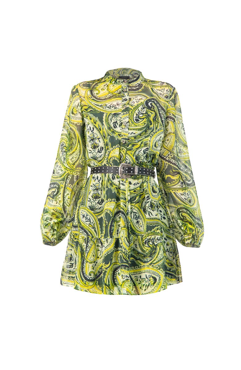 IVONNE Short Paisley Dress with Long Sleeves, Alternate, color, Green