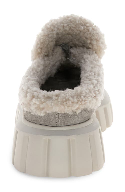Voile Blanche Grenelle Genuine Shearling Platform Mule In Gray