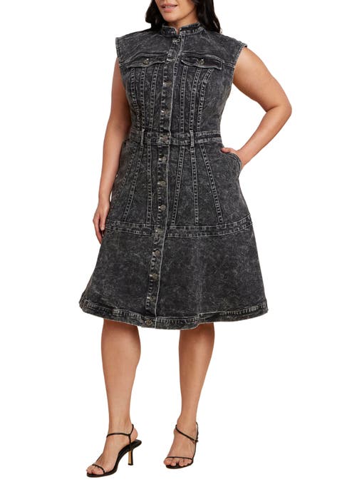 Fit And Flare Denim Dress (Plus Available)