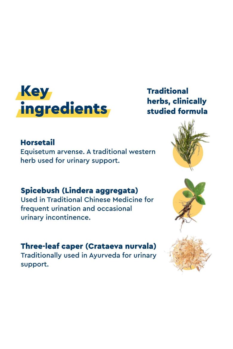 In Control Bladder Support Daily Bladder Care & Support for Urinary Comfort Made with botanicals, Like Horsetail & Spicebush Gluten Free & Vegetarian, Alternate, color, None