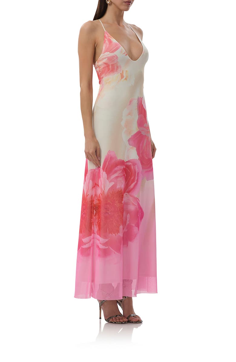 AFRM Romy Floral Mesh Maxi Slipdress, Alternate, color, Cloud Floral