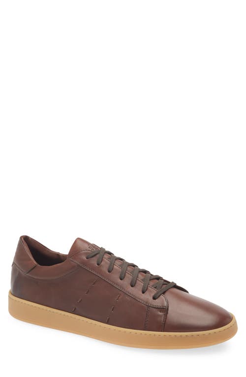 Eleventy Low Top Sneaker In Brown