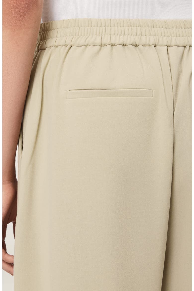 Aleida Wide Leg Pants, Alternate, color, HAZE GREEN