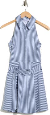 Veronica Beard Beau Stripe Sleeveless Cotton Blend Shirtdress