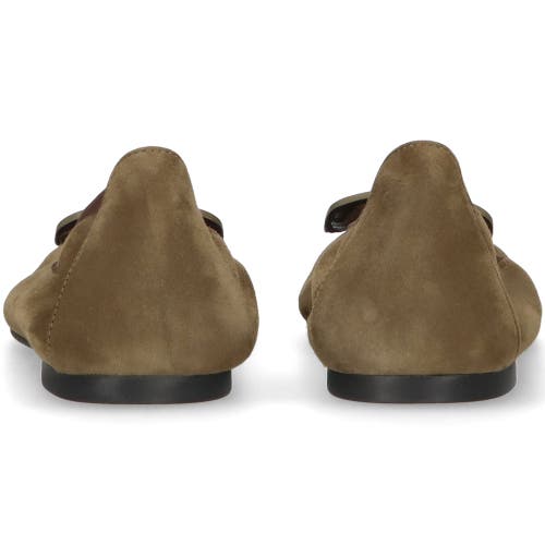 Pretty Ballerinas Pointed Toe Elasticated Ballet Flat In Brown