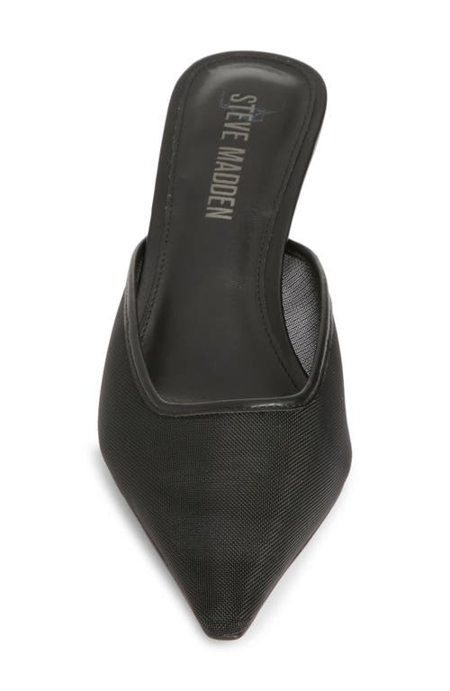 Steve Madden Lisbeth Pointed Toe Mule