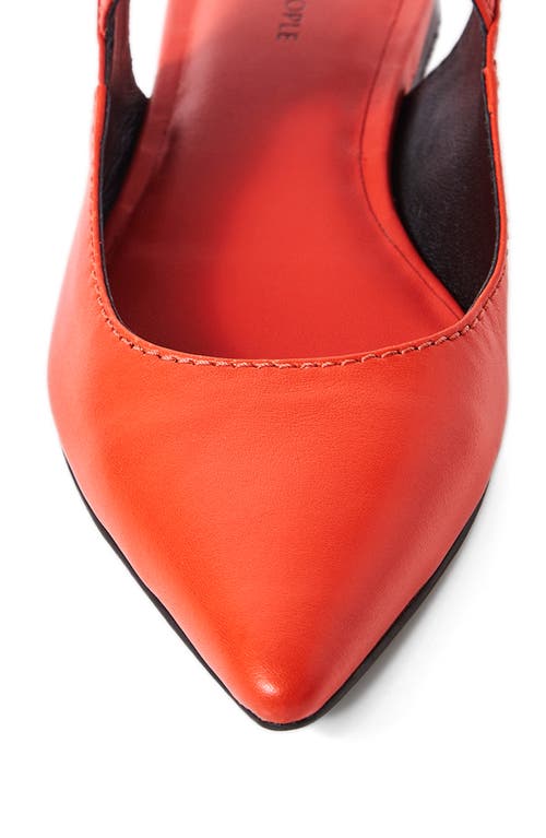 Shop Free People Parisa Ankle Strap Pointed Toe Flat In Red
