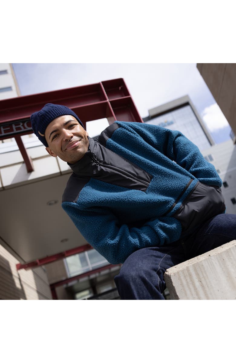 Turtle Fur Wesley Winter Hat, Alternate, color, Black