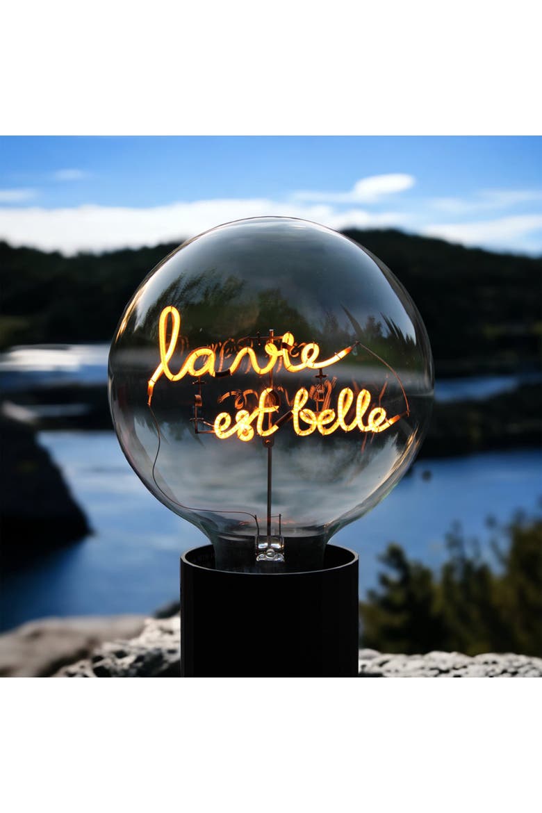 La Vie Est Belle Portable Table Lamp, Alternate, color, Emerald