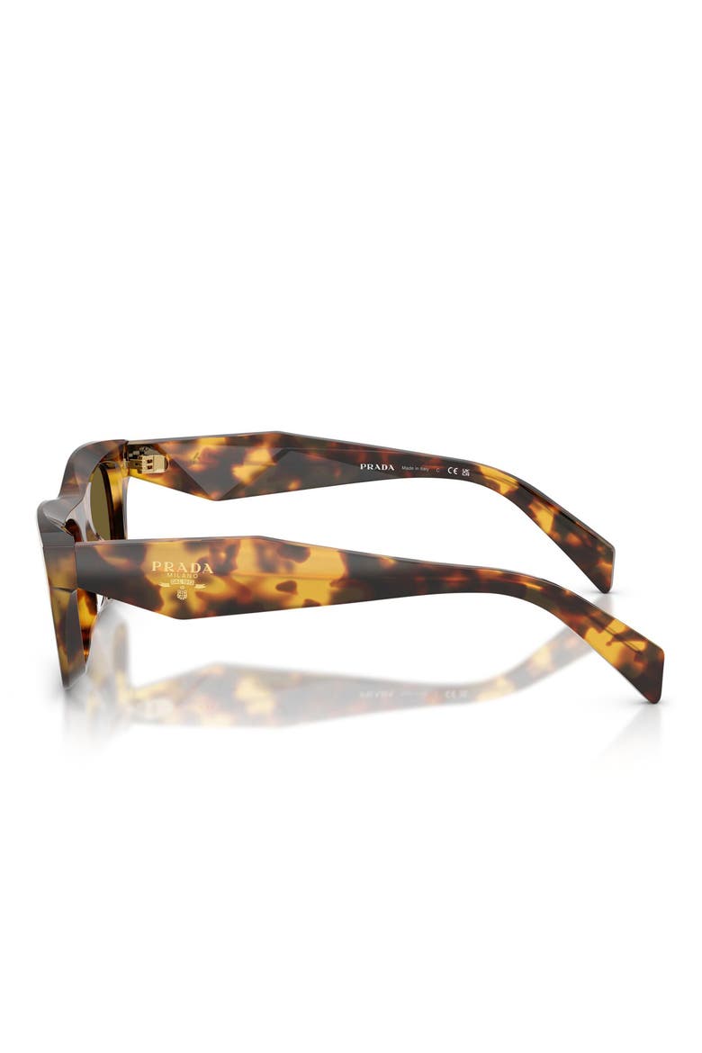 53mm Pillow Sunglasses, Alternate, color, HONEY TORTOISE / DARK BROWN